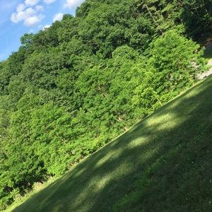 Meet your Posher, Jack